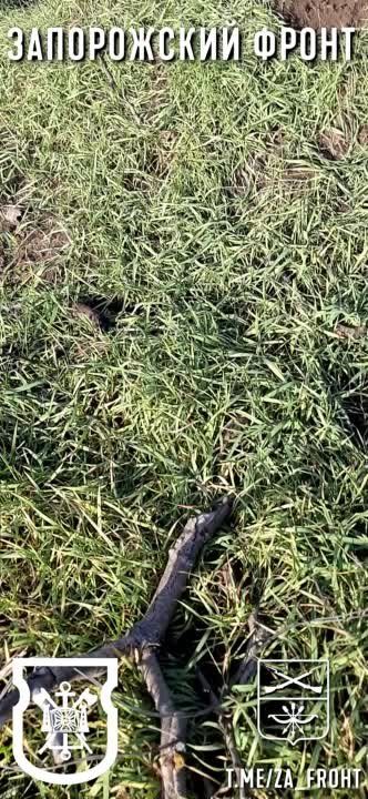 ����� �����: ����� ������ ������ 539 ���������� ���������-��������� ��������� �� �������������� �� ����������� �����������