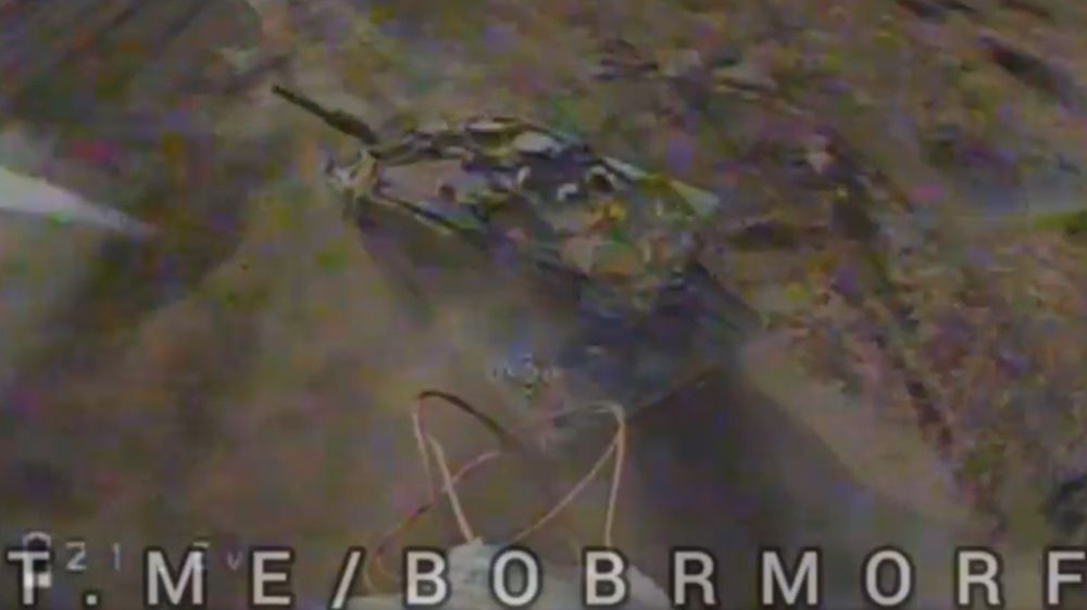 Leopard-2A6 ������ FPV-������ ��� ��������