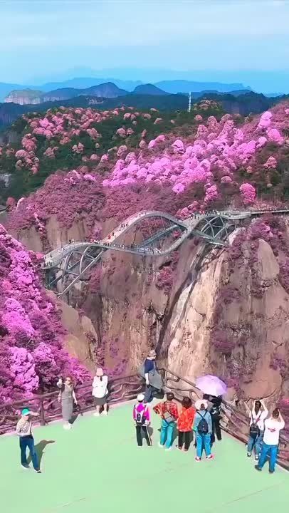 �����, �������. ����������� ������������ ���� ����