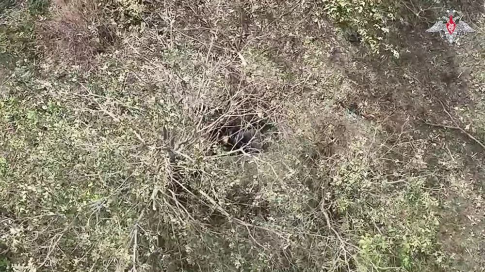 ���������� ��: ������� ���� ��������������� ��������-���������� ���������� ���������� ������ ������ � ������� ��� �� ����������� �����������