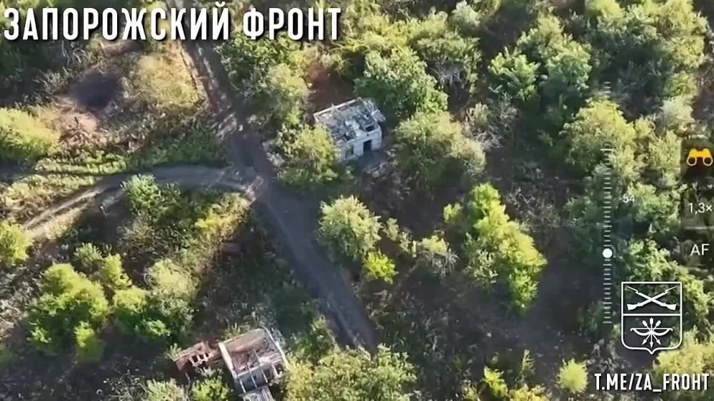 ��������� ����������� ������ ����������� ��� FPV-������ � ���� ������������