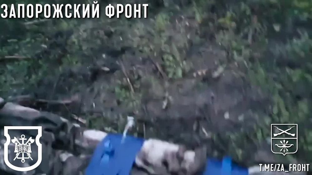 ����� ������ ������ 539 ���������� ���������-��������� ��������� � �������������� ��-83� �� ����������� �����������