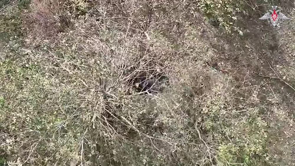 �������������� ���������� ������� ���������� �������� � ������� ��� �� ����������� ����������� ����� ������������� �������������