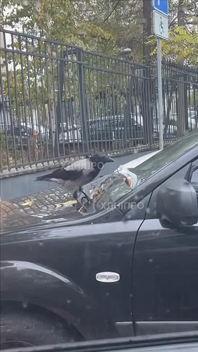 � ��������������� ������ �������� ����� �� ��������� ������ ��������� ��������