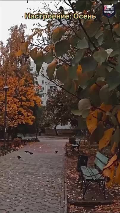 ������� � ���������� ��������, �� ����������