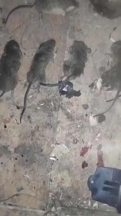 ����������� � ���������� ����������� ��������� ����