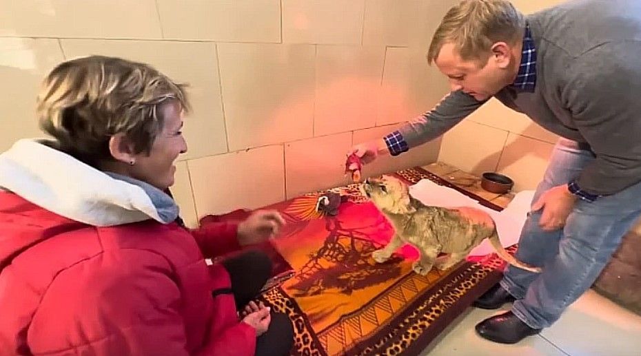 � ����� ������ ����� ������ �� ����������