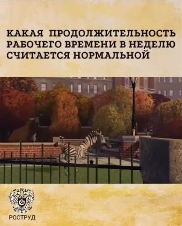 #������������. ������� ��������� � ���, ����� ���������� ����������������� �������� ������� � ������ ����������...