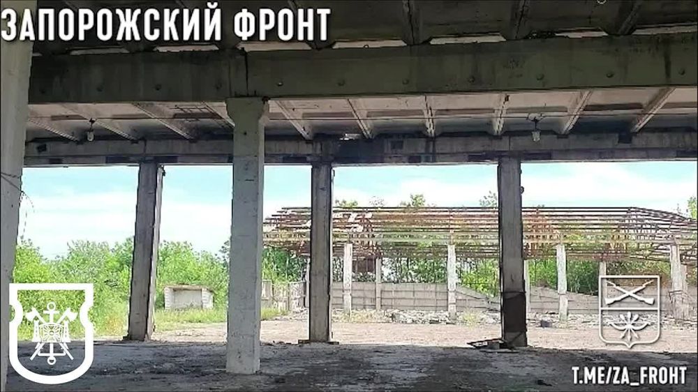 ����������� ��������������� ����������� �� ������� ������� �������� 539 ����
