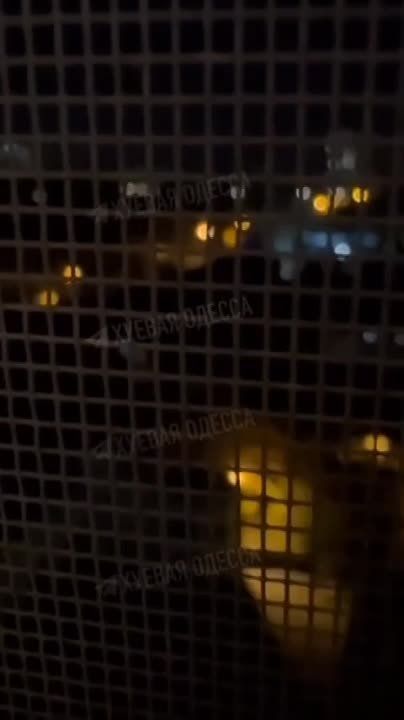 ������ - ������� �����! � ���� ������������!