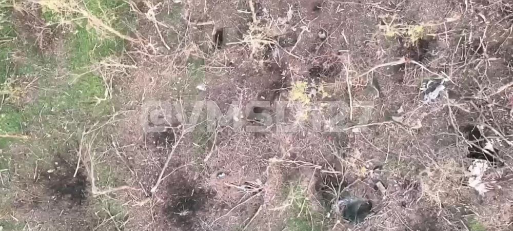 "������ �������� �����". 127 ��� ���������� ������ �������� �� ������� ������
