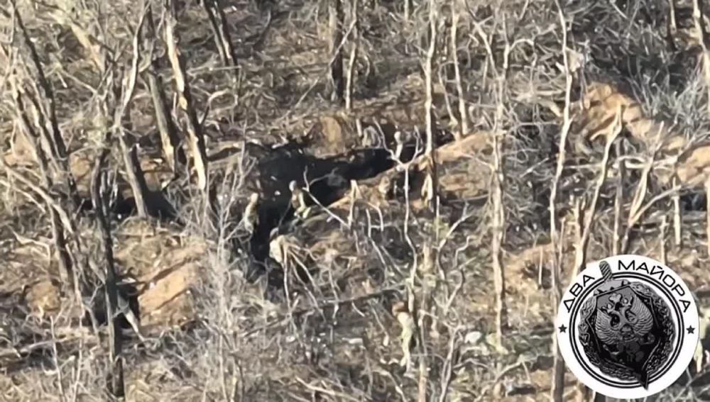 ����� �����: ����������� �����. �� ������ �����, ��� ��� ����������� ������� ������� �� ������� 71-�� ��� 42-� ���. 70-� ���� ������ ����������� ������ ���������� � �������