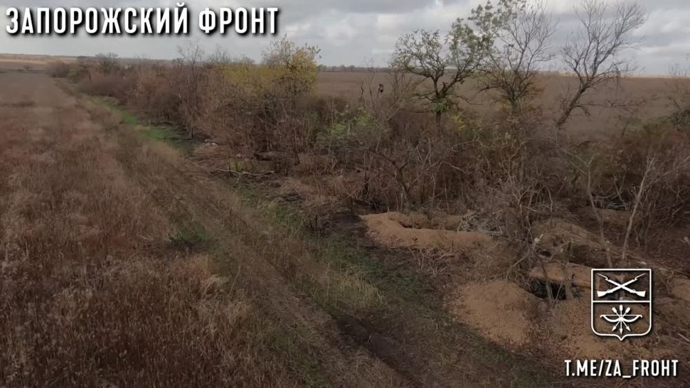 �������� FPV, ��� ����������� "������" � ��������� ��������� ���������� ������ �� ������ ��������� ������ ��� , ����������� �� ���������� ����� ������������� �� ����������� �����������