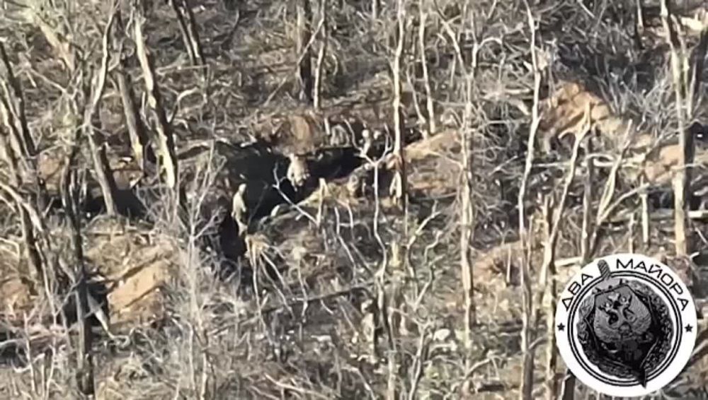 ��� ����������� ������� ������� �� ����������� �����������