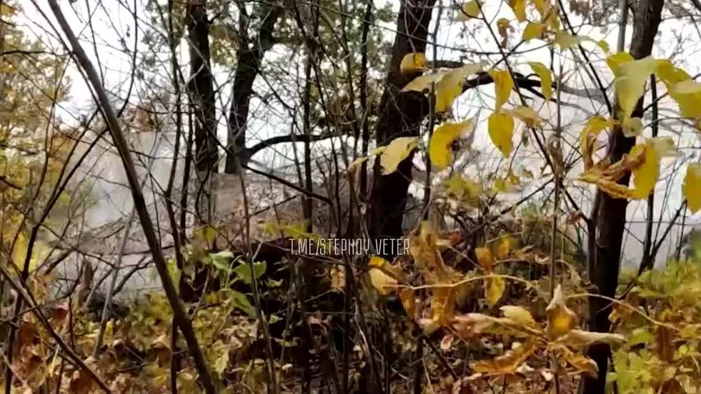��������� ������ ���������� "����" �� ����� ���� ���
