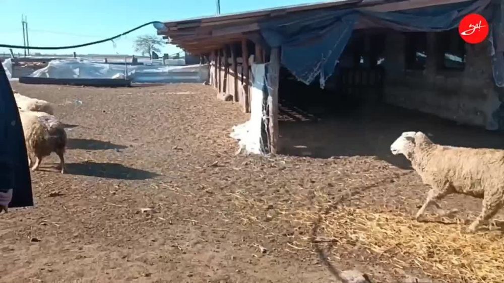 ���� �� ��������� �������� 100 ������� � ������������ �����