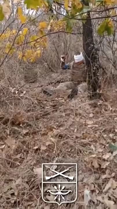 �������� �����: ������� ����� ������ ��������� ������� ���. ��� ������� ���� ��, ������� ��������