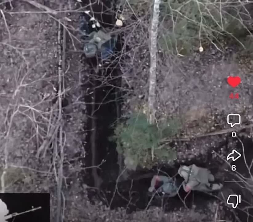 ����� ������ ���������� ������ � ����