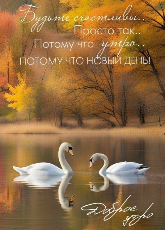 ���� ����� ��� ���!. ��� ������� ����������))