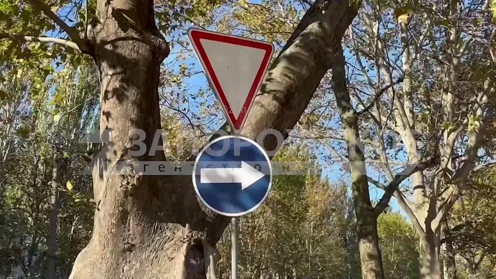 � ���������� ���������� ��������� � ������������� ����� �������� �����