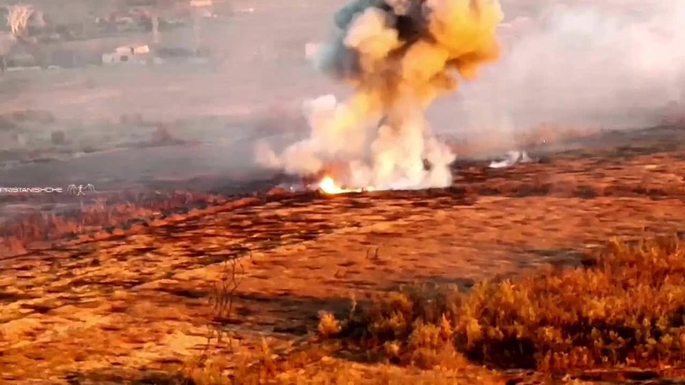 ����� �����: ���� "������" � ������� �������������� ���������� ������������� ���������� ������������ �� ����������� �����������