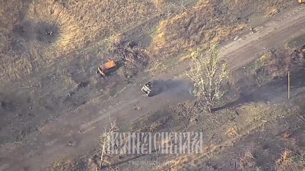 ����� �����: ����������� �����������, ������������ �113 ��� ������ � ������ ��������