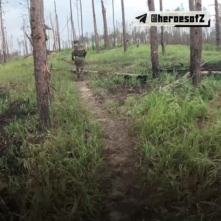 ��� ����� �� �� ������. ������ ��� ������� ���� �������� ��� � ����� �����. �������, ��� ������ �������� ������ �� ��� � �����, � ������� 26-������ �����