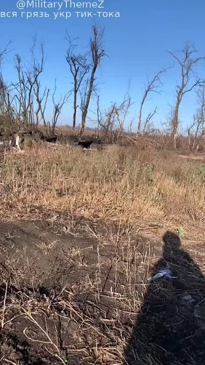 ����� ������������ ������� ��� �� ����������� �����������