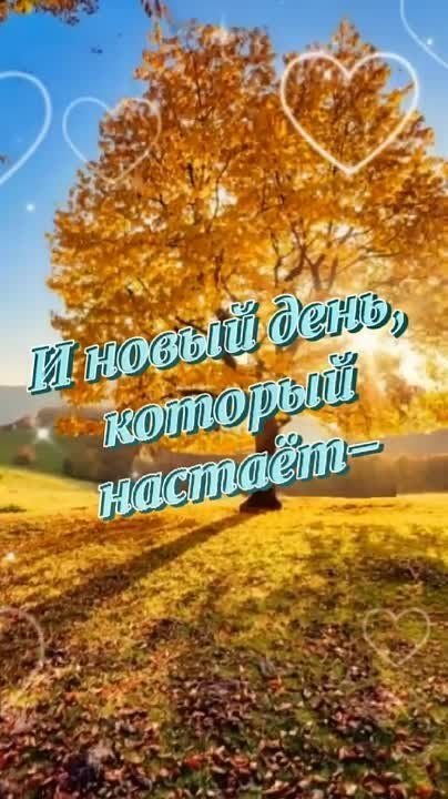 ������� ���� ����������, ������ ��� �������� � ������������� ���