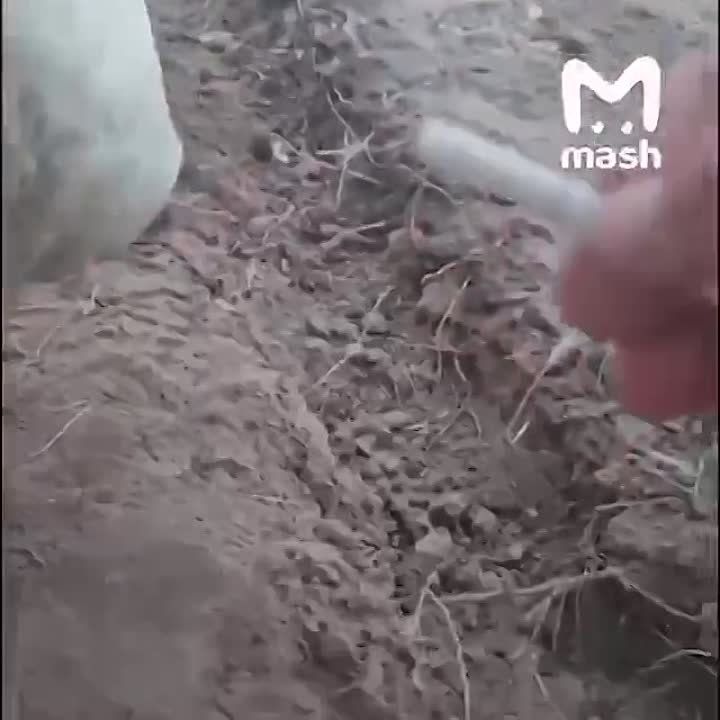 � ���������� ������ �� �������-��������� ����������� �������� ���� ������ ������ ������-�� �������������� � ���, �� ����� ������ �������� � ������, ��� ��� ����� �������, � ������ ����������