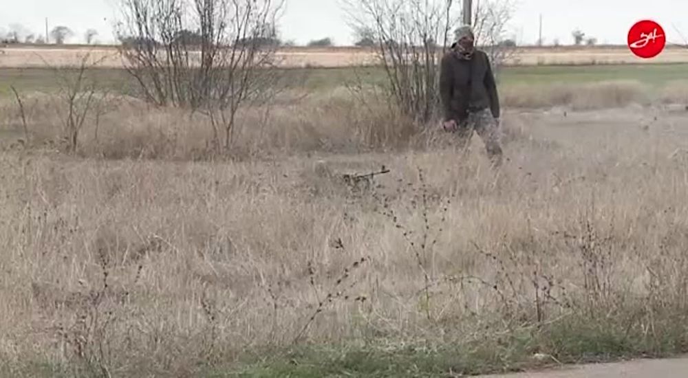 ����� �������� ������������ ������� ������ ���������� �������� ������ �� �������������� �����