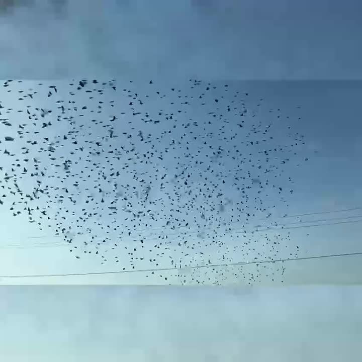 � ���������� ����� ������� ����.