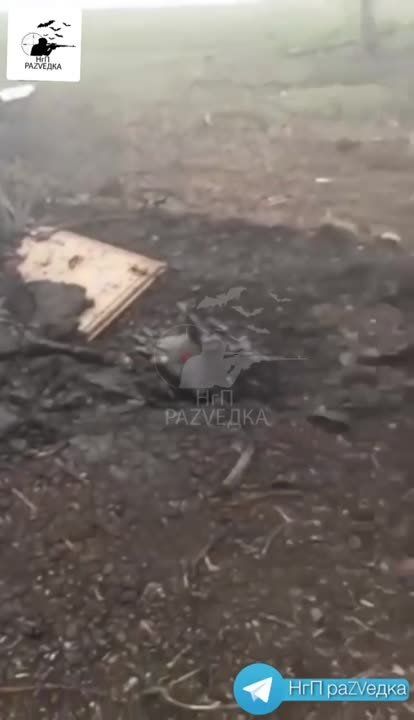 ����� �����: �������� ������� ��� � �������� �.�. ��������������, ����������� �����������