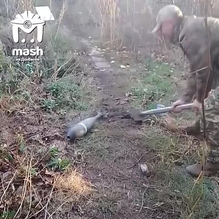 ������ ������� ������� ������� ���� �������