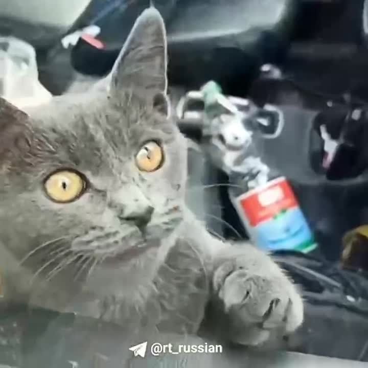 � ������ ������ ������ ����, �������, ����������������, ��� ������ ��� �������� � ������ ��� ��� � ����