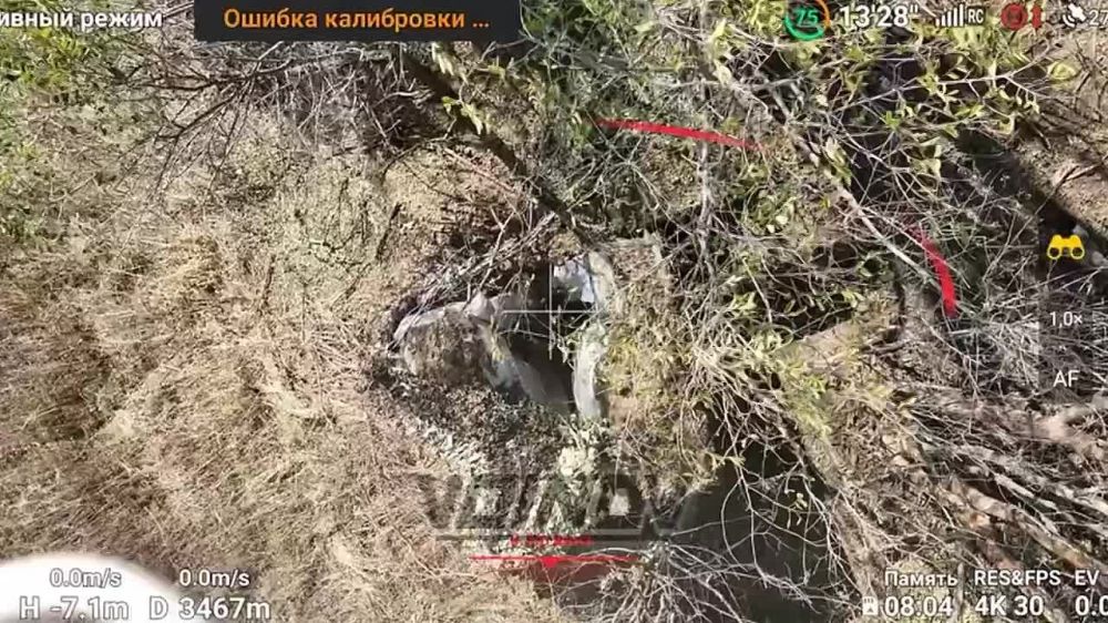 ��������� 336 ����������� ������� ������� ������ ������� � ���������� �������������� ����� ���������� �� ����������� �����������