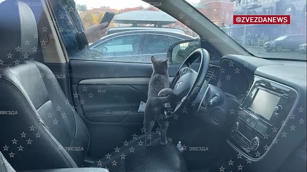 ����� �� ����� ���� ������������ � ����� ������ ������