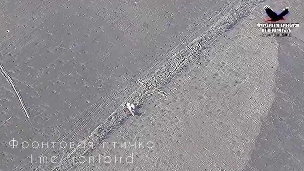 ������������ ����������� ������ ��� � ��������� � ��� ������� � �������