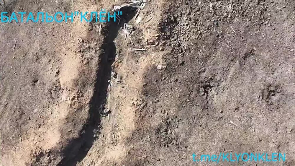 ����� �����: �������� ���� "������" �������� ������ ��� �.�.�������� ����������� �������