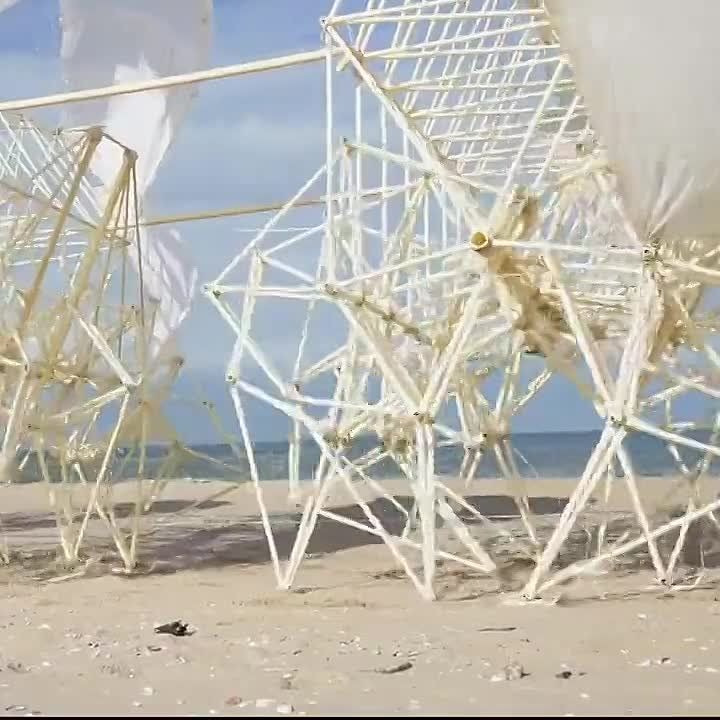 �������� �������� � ������������ ���������� ������������ ��������� ��� ������, ������� ������ �� ������ ��������� �����