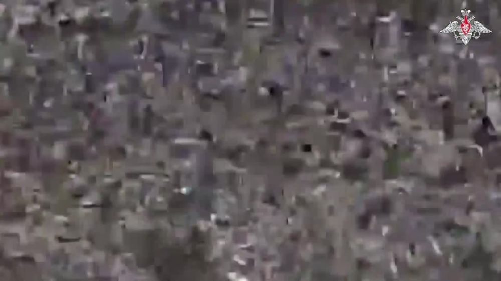 ���������� ��: ��������� FPV������� ���������� ���� Leopard ��� �� ����������� �����������