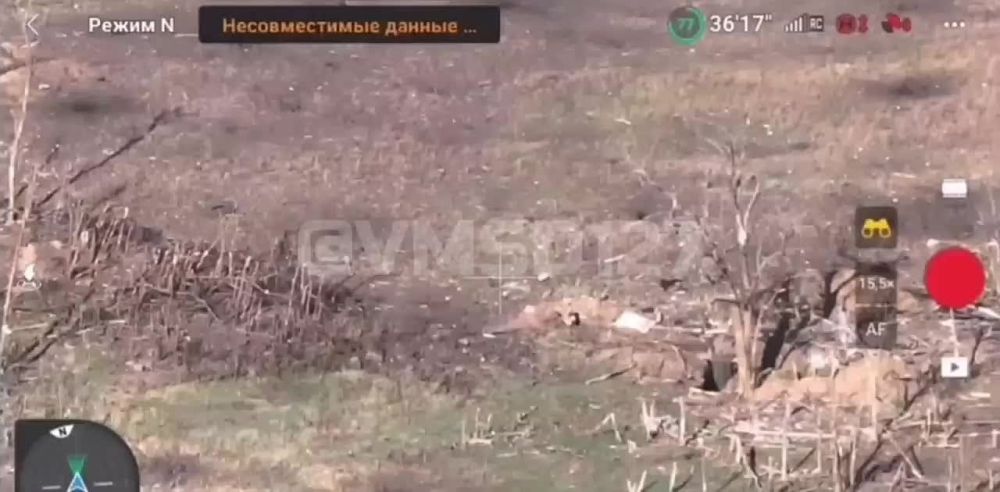 Евгений Лисицын: Часть своих сил ВСУ перевала с Запорожского фронта под Авдеевку