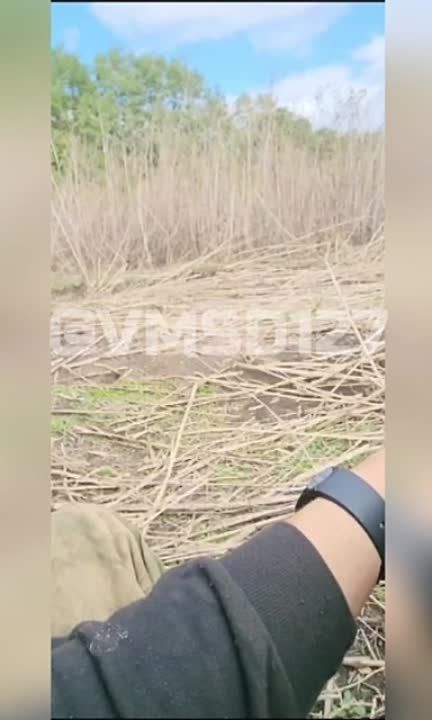 ����� �����: ���������� ����� ������� �������� �� ����������� �����������