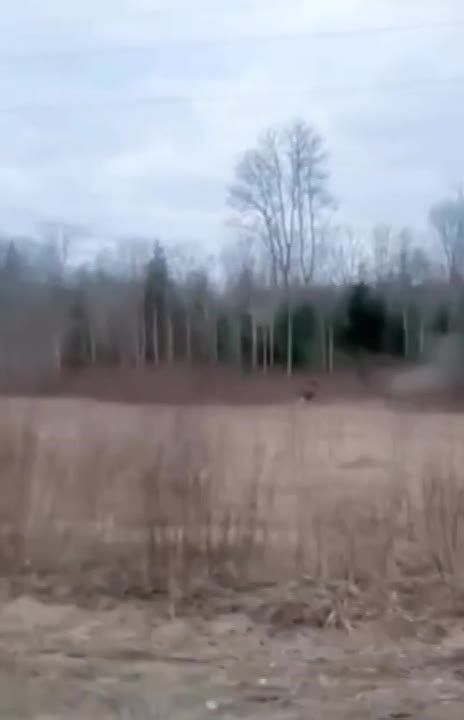 ���� ������ ����� ���� �����