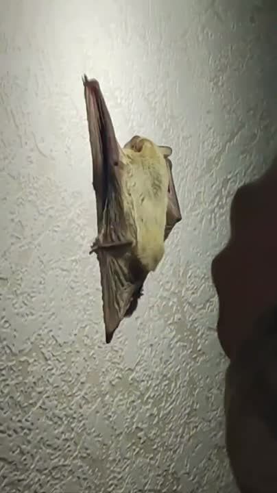 � ����� ������� �������� �� ������ �����