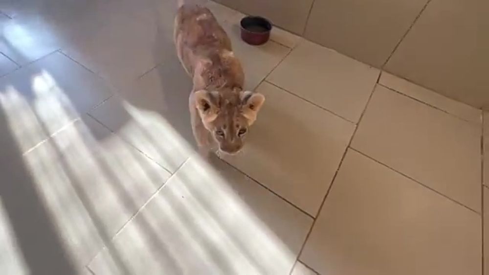 ��������� ��������������� ������ ����� �� ���������� � ����� ����� �� ��������