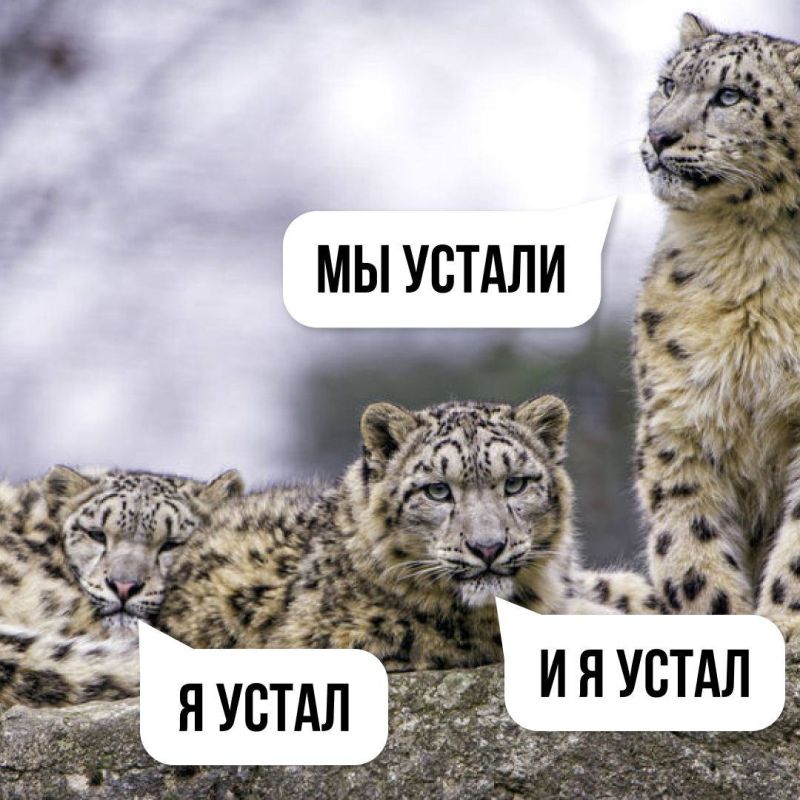 �������� �������� ��� �������� ���������� ������ Leopard 2A6