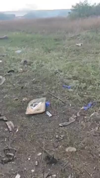 ����� �������� ���. ����� ������������