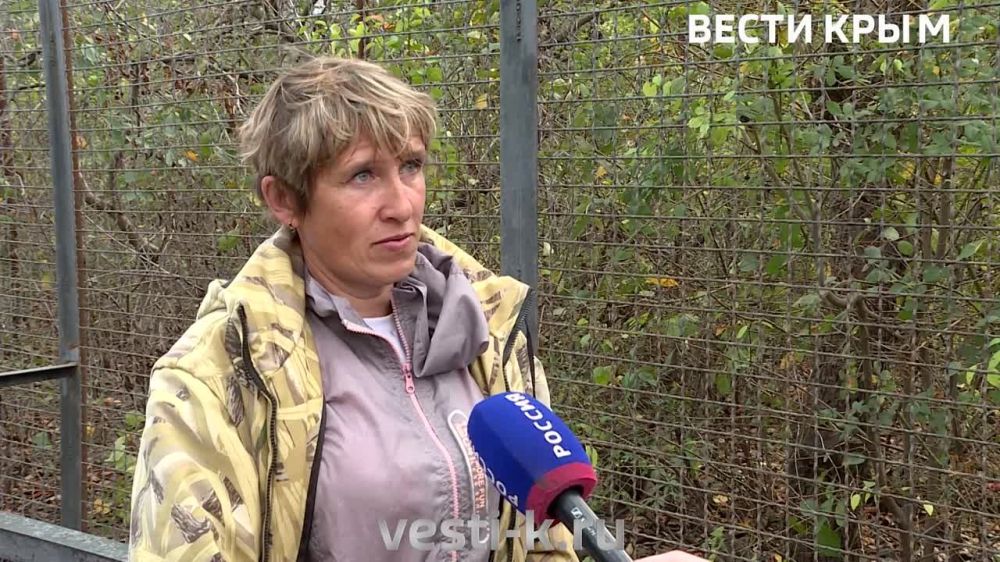 ��� ��������� ���� ��������, ����������� � ���� �� ��������� ��������, ������� � ���������