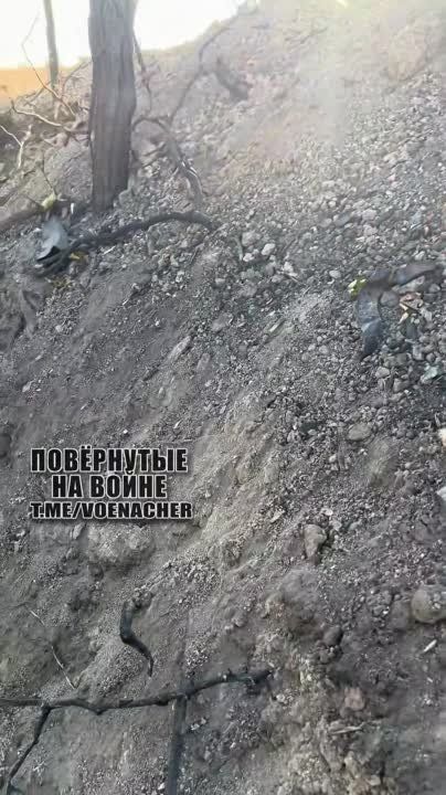 ������������ ���������� ������� 2�1 ��������� � ����������� �������